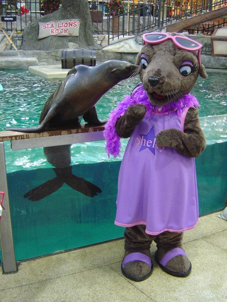 Mascot Costume Design Shelly Sealion